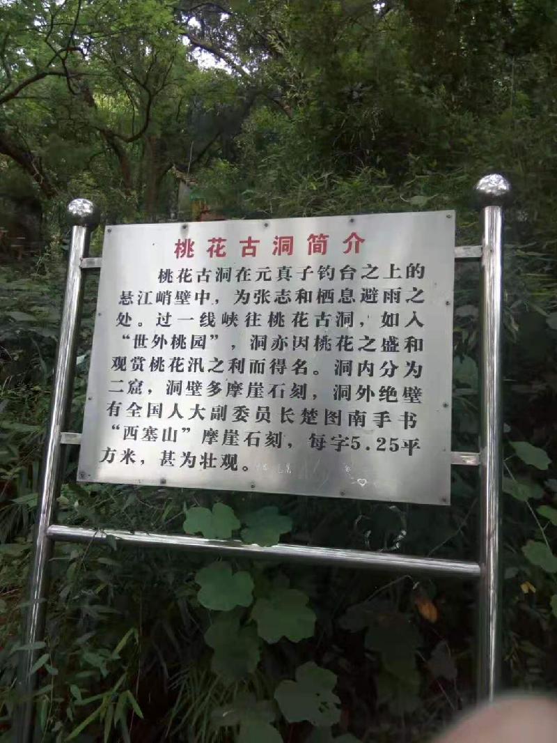 《诗风掀起长江浪; 雅韵增添西塞春》文/陈少书——湖北诗人(图3)
