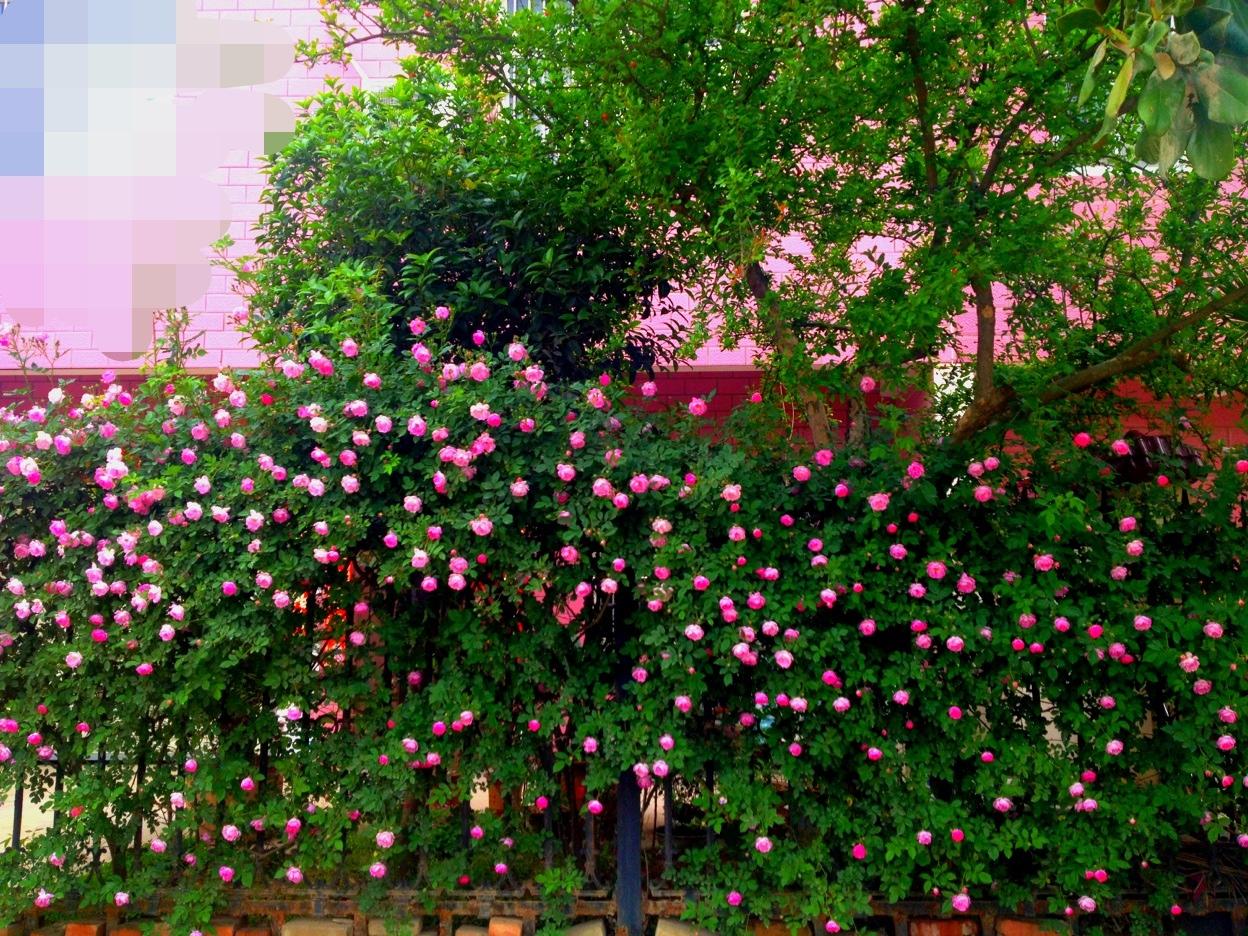 src=http_%2F%2Ftgi13.jia.com%2F114%2F937%2F14937718.jpg&refer=http_%2F%2Ftgi13.jia.jpg