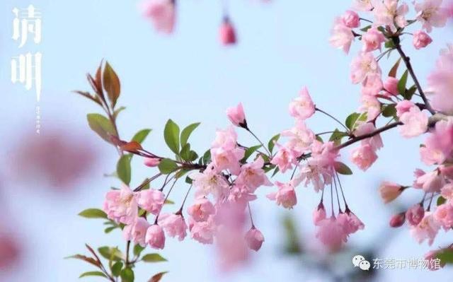 李林〔山东肥城〕诗歌专辑(一)制作 冰心〔甘肃〕【冰心文化传媒】(图7)