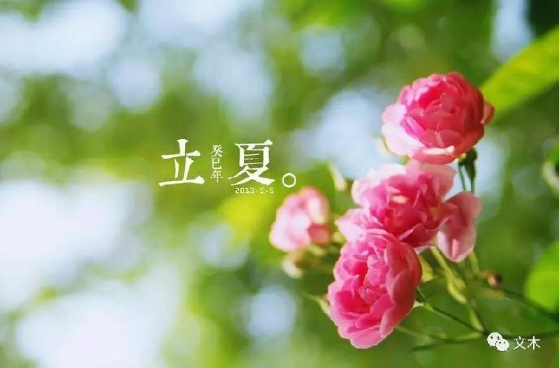 【潇湘文学社】潇湘问梅诗社《立夏》(图6)