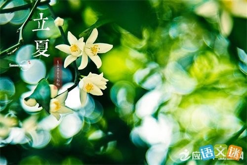【潇湘文学社】潇湘问梅诗社《立夏》(图21)