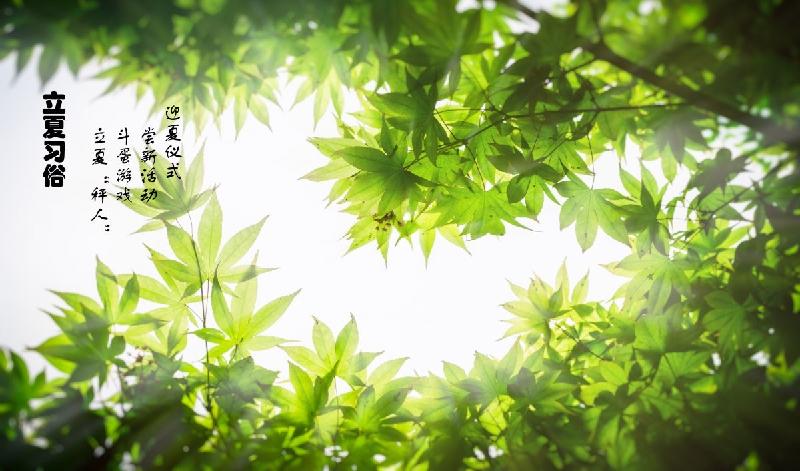 【潇湘文学社】潇湘问梅诗社《立夏》(图5)