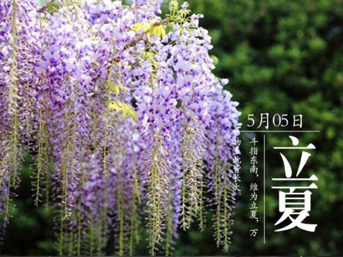 【潇湘文学社】潇湘问梅诗社《立夏》(图15)
