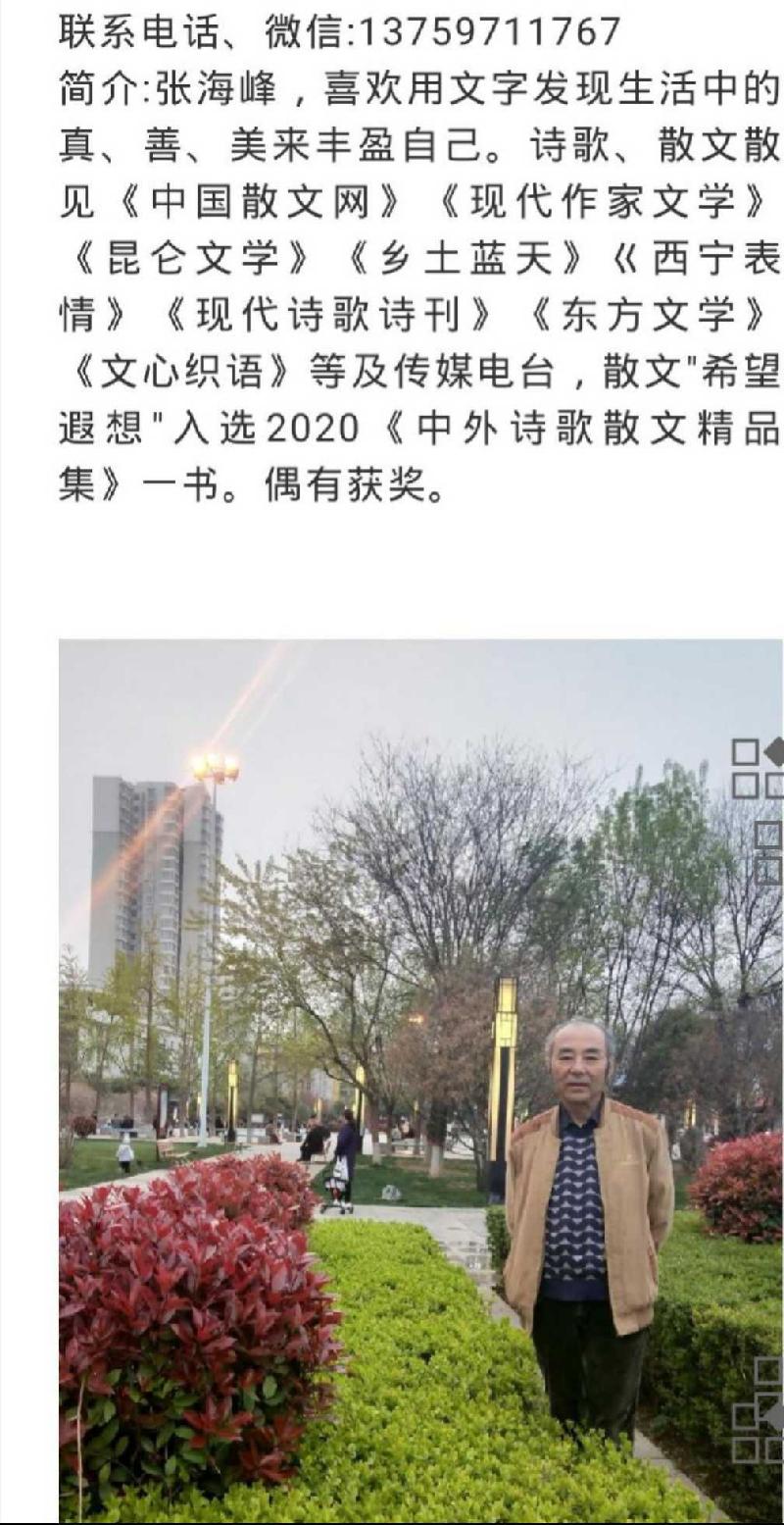 张海峰:回眸（图3）