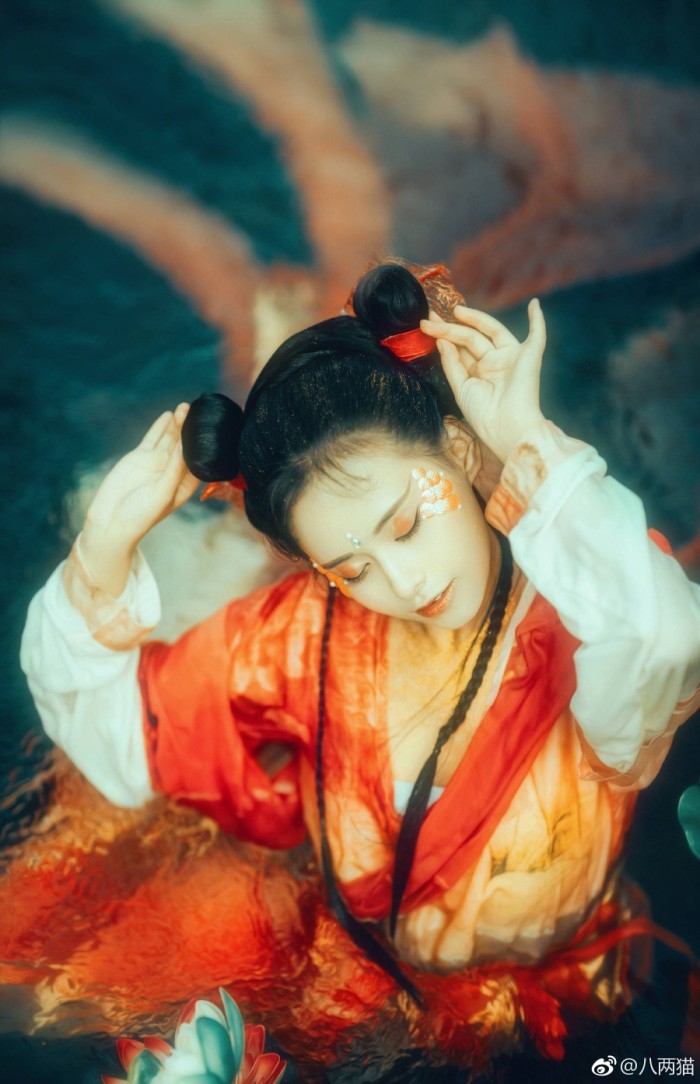 【鱼和飞鸟的传说】