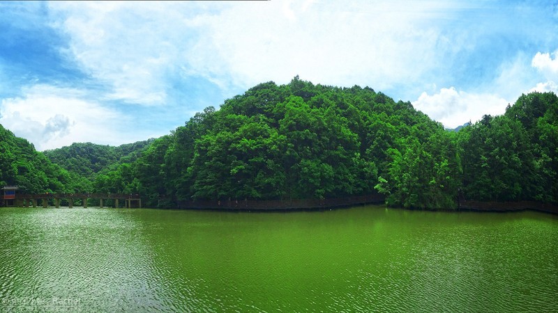 【潇湘文学社】潇湘如兰诗社《初夏》(图9)