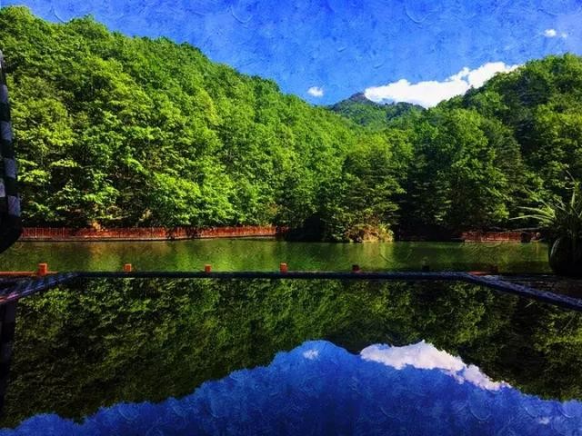 【潇湘文学社】潇湘如兰诗社《初夏》(图13)