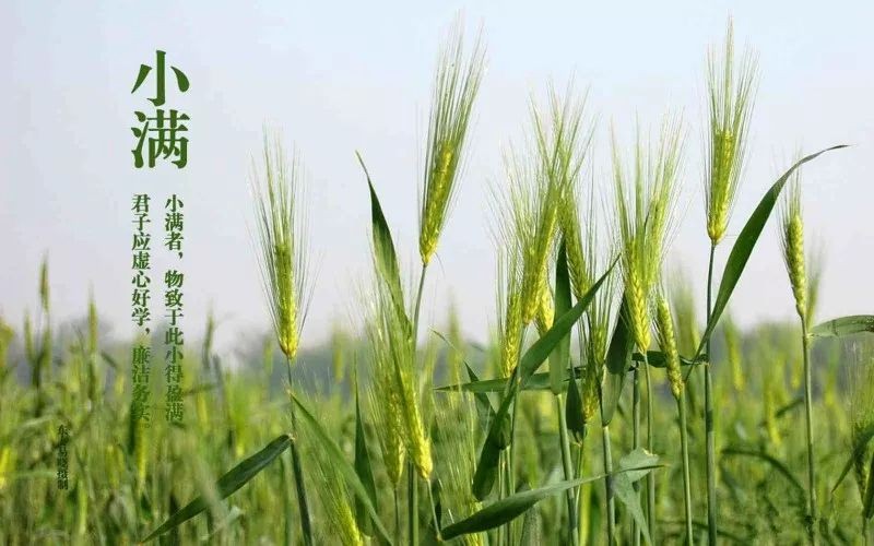 先锋诗派山东分会专刊【仿古体新诗】 长征颂(外六首)京津沪头条 山东/陌上花开(图4)