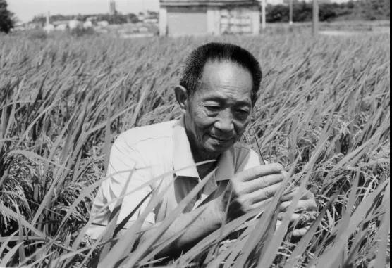 大秦诗词专刊‖碑颂·新晨·错位‖三首 作者:大秦 京津沪头条
