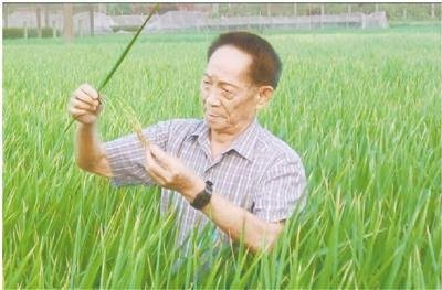 今天,您带着梦的种子去了远方 文‖张传浩(图4)