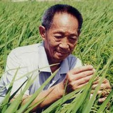 今天,您带着梦的种子去了远方 文‖张传浩(图5)