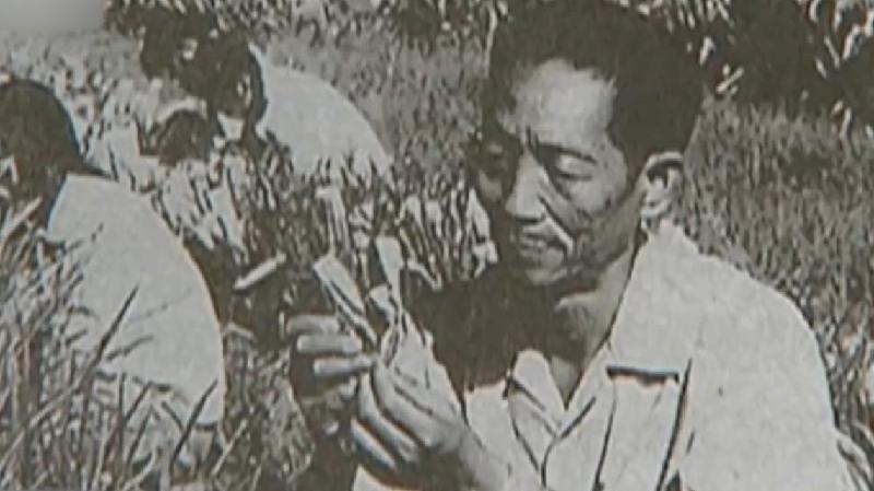 连云区星火诗社243期微刊《沉痛悼念水稻之父一袁隆平》(图17)