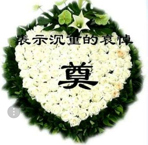 悼念科技双星 文‖李永康（图4）