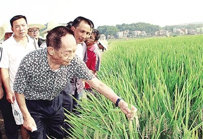 【滨州头条特辑】悼念袁隆平、吴孟超院士 精选五十位优秀老师佳作(图4)