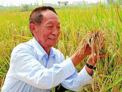 悼袁隆平院士 文‖石奇峰（图7）