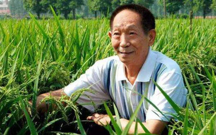悼袁隆平院士 文‖石奇峰（图5）