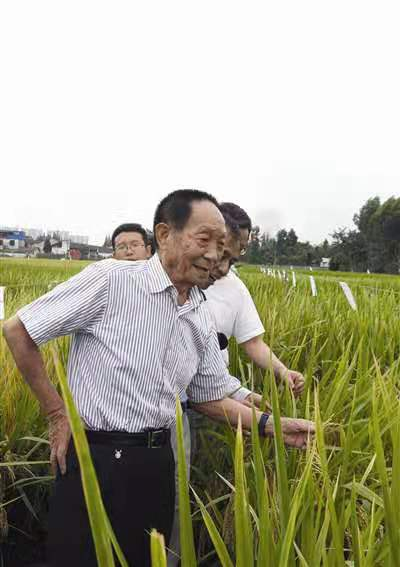 鍥剧墖2.png