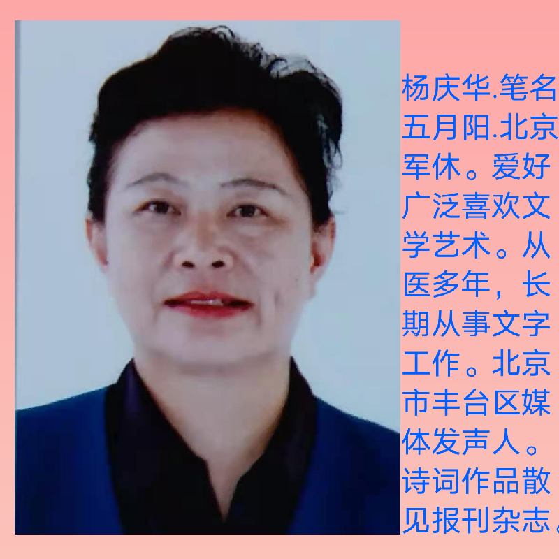 杨庆华老师佳作欣赏！（图4）