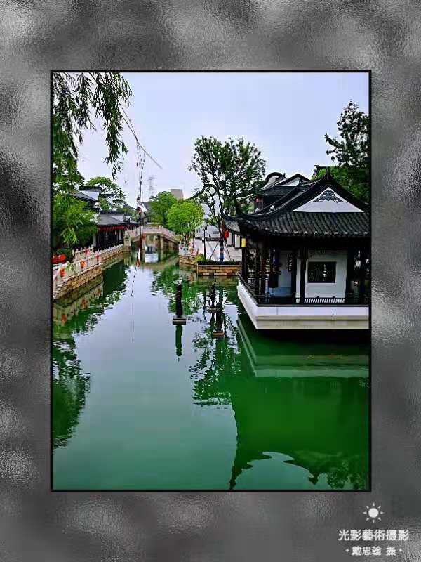 荐赏著名书画家成吉思翰老师精彩绝伦摄影作品｜海外头条（图16）