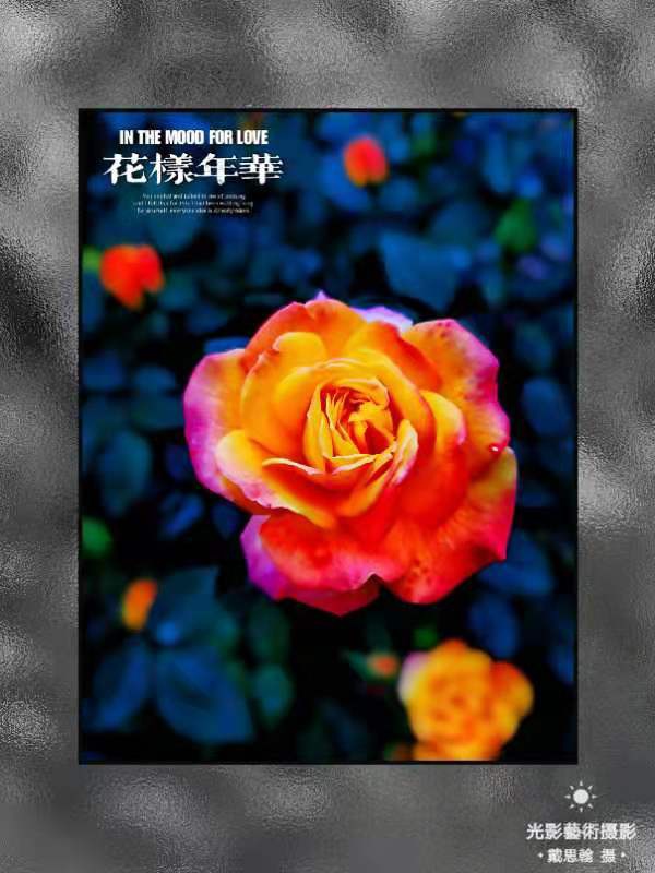 荐赏著名书画家成吉思翰老师精彩绝伦摄影作品｜海外头条（图19）