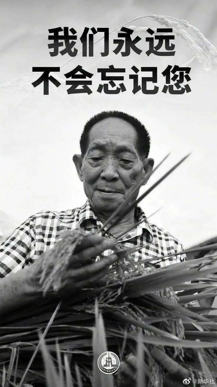 【潇湘文学社】潇湘陶菊诗社《悼双星》(图4)