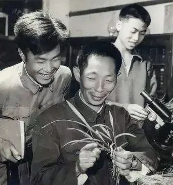 袁隆平//稻子熟了,妈妈,我来看您了//朗诵 金辉 诵(图8)