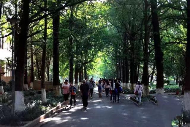 《走不进的世界》作者/庆福 主播/宏红 编辑/胡琴(图4)