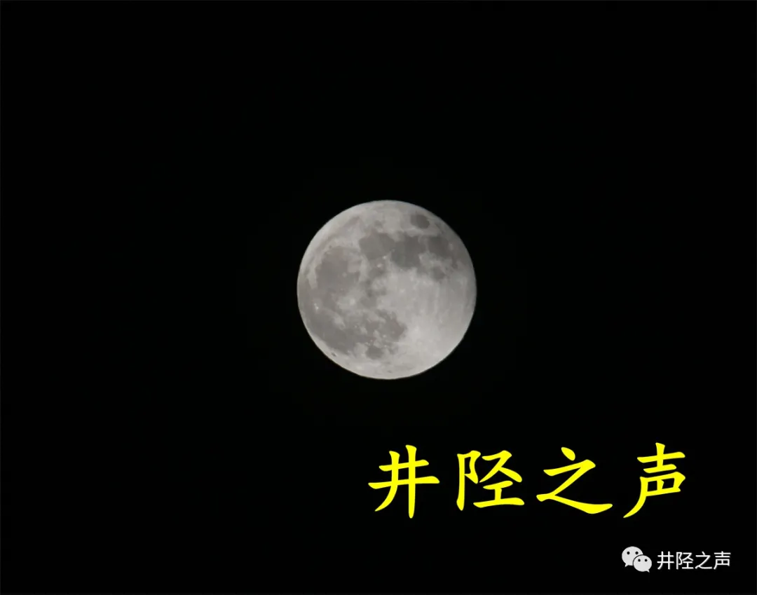 月色美Ⅱ摄影/王德亮（图10）