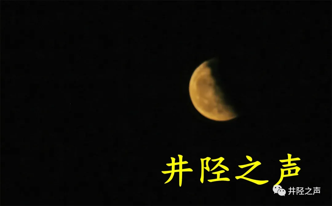 月色美Ⅱ摄影/王德亮（图4）