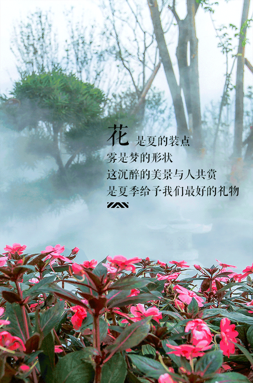 突然的夏天 文‖邹方(图4)