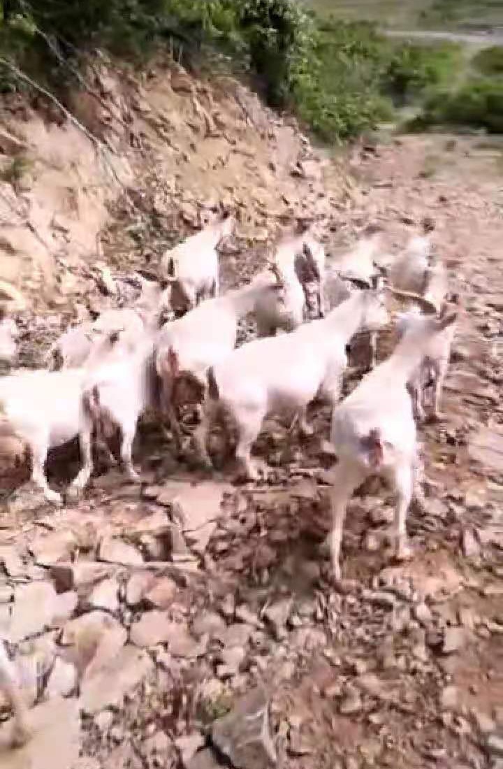 脱贫致富奔小康 文‖刘绪忱（图5）