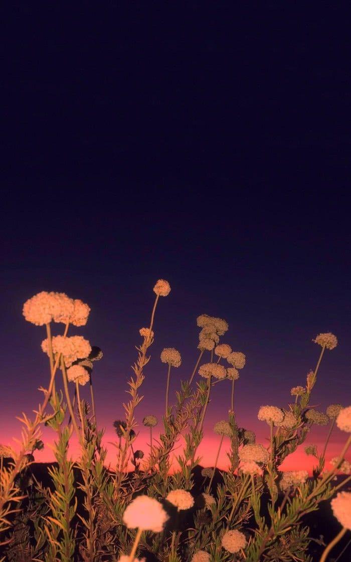 傅学芳诗词三首（图4）