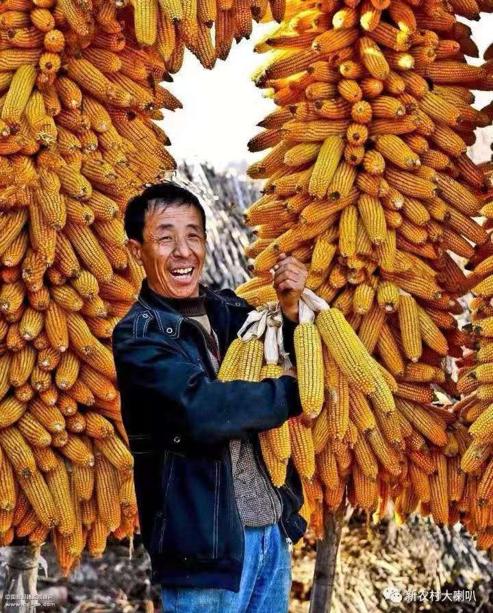 脱贫致富奔小康 文‖刘绪忱（图7）