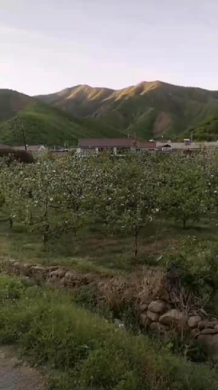脱贫致富奔小康 文‖刘绪忱（图6）