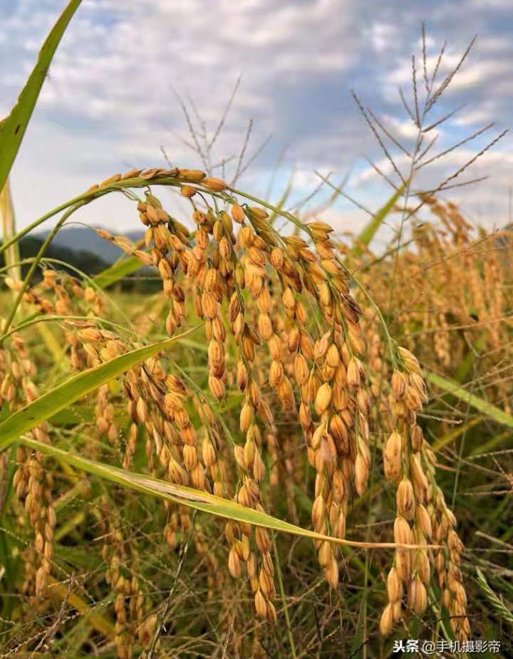 脱贫致富奔小康 文‖刘绪忱（图8）