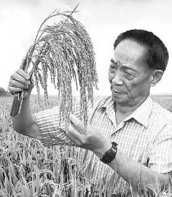 大中华（江西）宝塔诗两首 制作 冰心〔甘肃【冰心文化传媒】〕（图3）