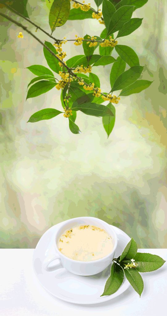 七绝-桂花香 文‖浩然（图4）