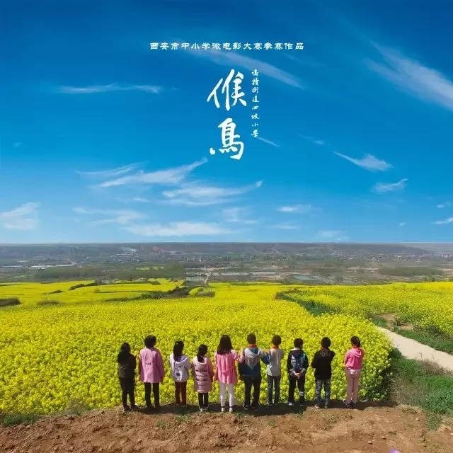 《影评》候鸟:亲情与母爱的伟大力量:评论员/何俊锋(陕西西安)(图6)