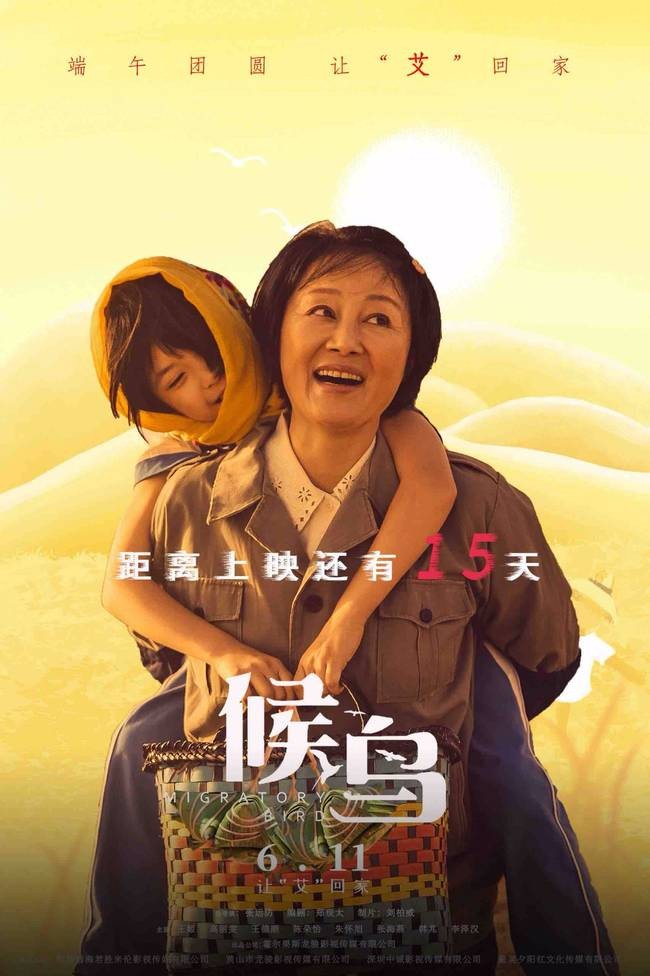 《影评》候鸟:亲情与母爱的伟大力量:评论员/何俊锋(陕西西安)(图2)