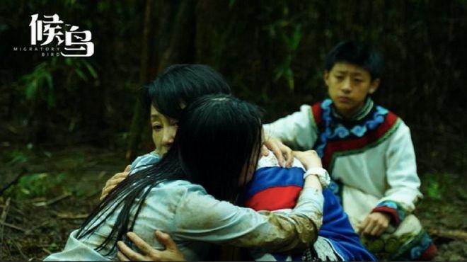 《影评》候鸟:亲情与母爱的伟大力量:评论员/何俊锋(陕西西安)(图8)