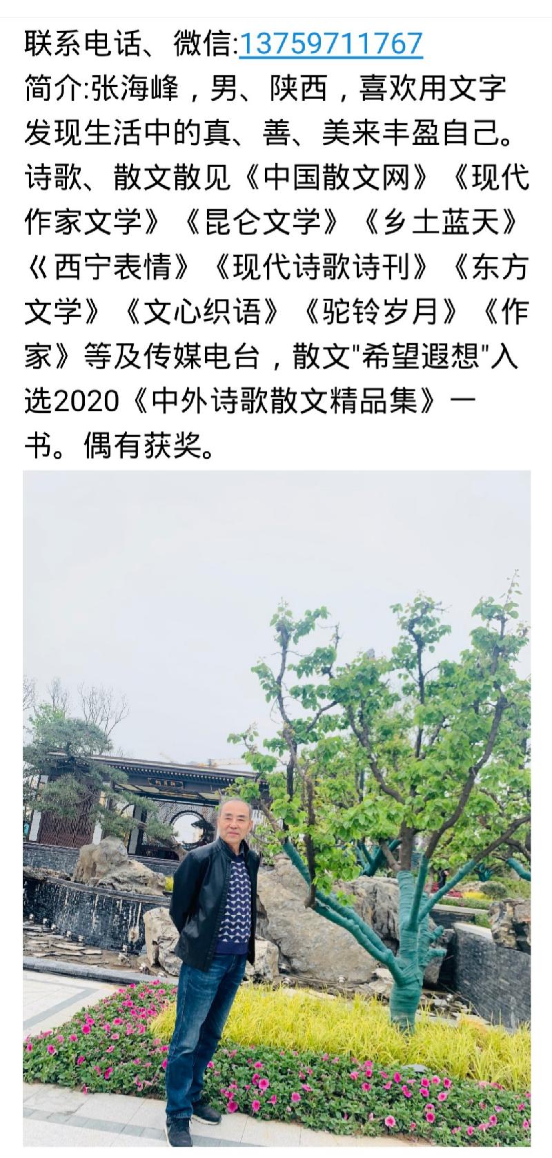 张海峰:闲侃阅读(图5)
