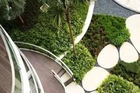一个小院就是诗和远方 作者/李子良 主播/胡长有（图9）
