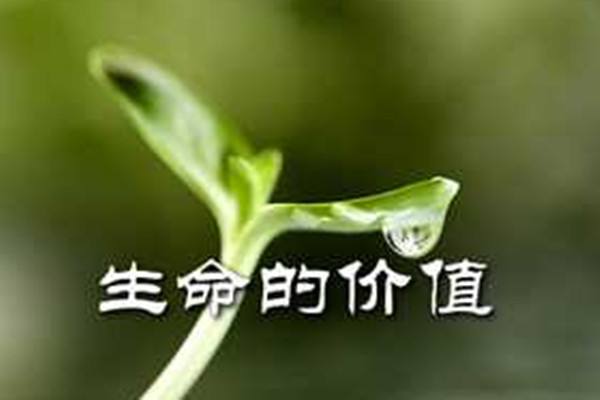【励志美文】生命的价值 文/希望在明天(湖南)（图3）
