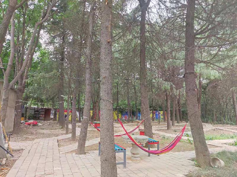 平顶山市高新区代庄村利用百亩香樟园开启农家乐让市民到郊区游享休闲文化（图2）