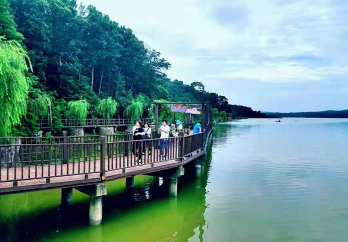 鍥剧墖3_鍓湰.png