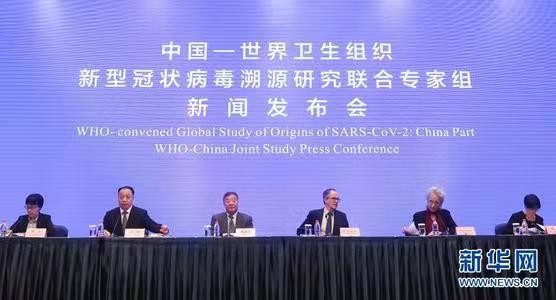 天净沙-为武汉正名 ——世卫溯源报告:武汉华南海鲜市场不是新冠病毒的发源地(词林正韵)文/冯志清(上海)【冰心文化传媒】编辑:冰心(图11)