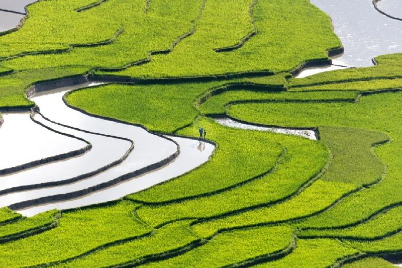 镇赉——可爱的家乡 文/全家福(吉林)——滨州头条（图13）