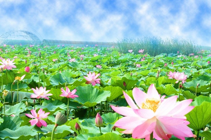 荐赏【神州源流诗苑】总第397期【优秀格律诗】周刊(图4)