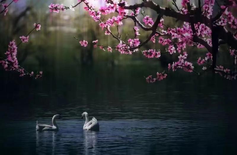《江南诗絮古韵飘香》0144（图4）