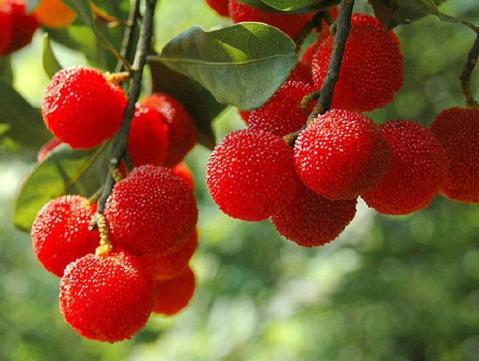 郭厚重老师佳作欣赏！（图3）